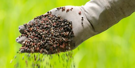 How Nitrates End Up in Drinking Water Supplies