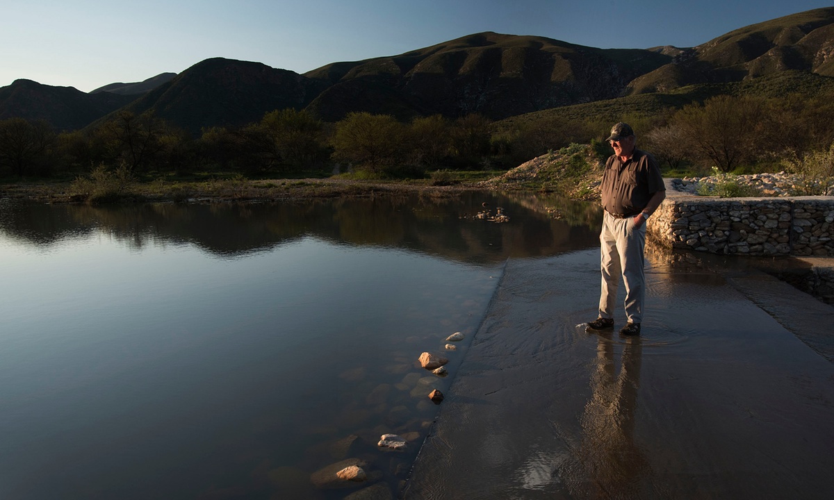 Insurance firm planting trees in SA to combat drought risk