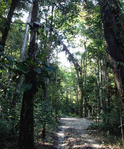 New Research Improves Global Climate Models