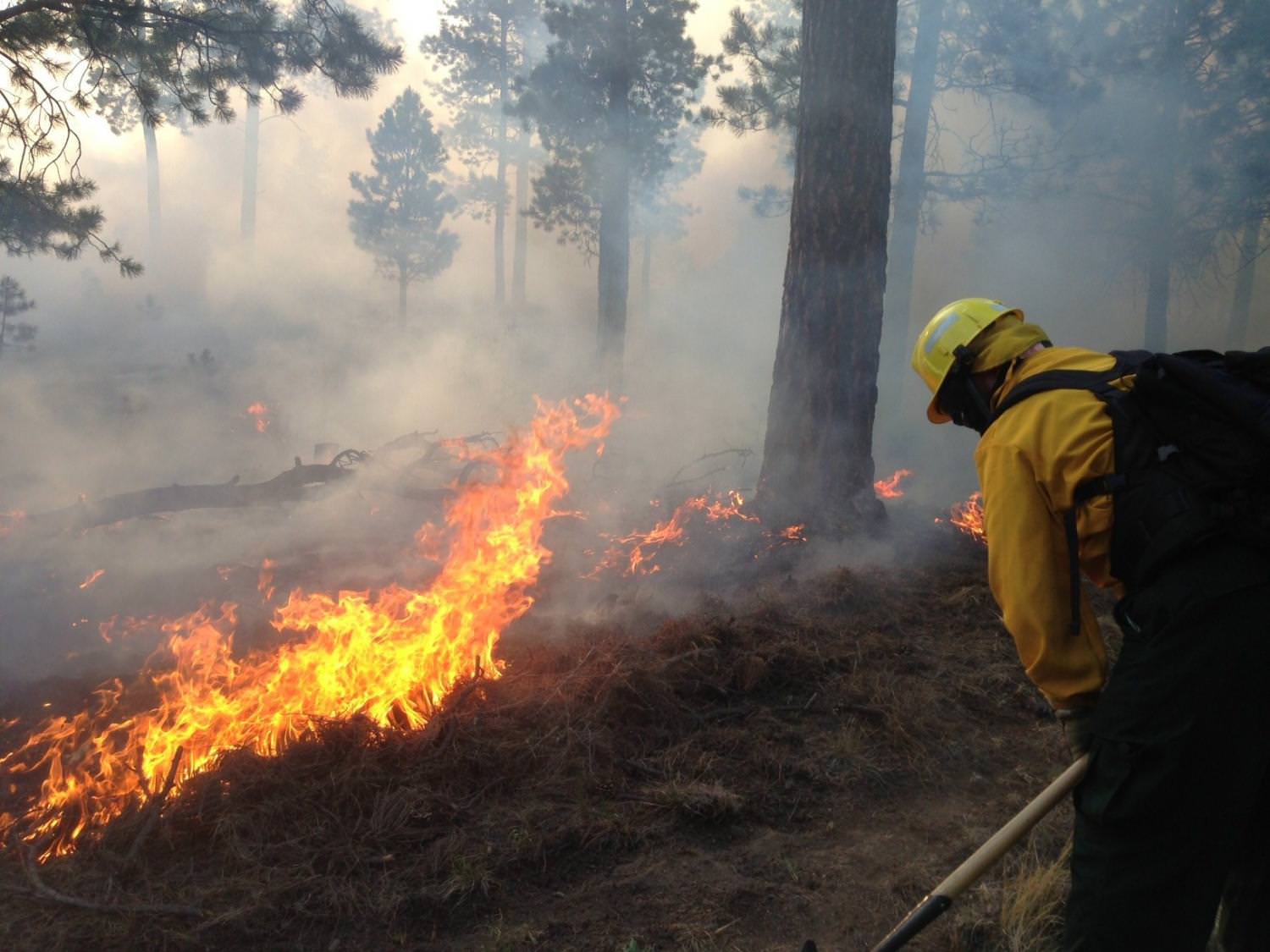 How Wildfires Contaminate Drinking Water Sources