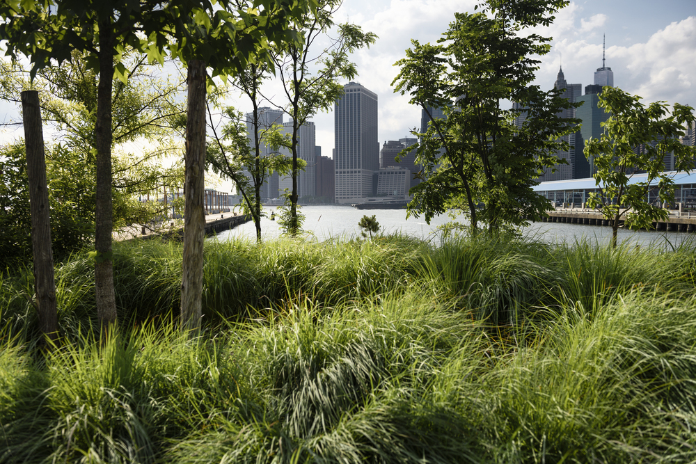 A Natural Solution to Water Security