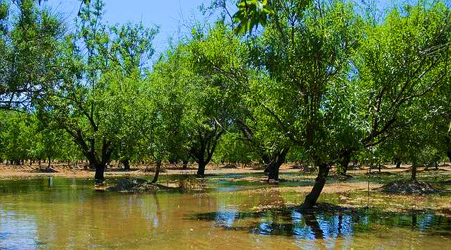 Embracing Flooding for Water Supply