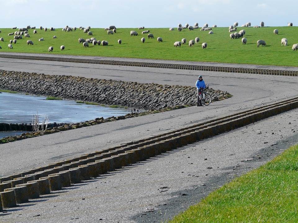 Dikes to Fight Floods