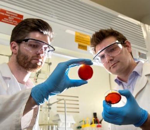 Orange Peels Could Remove Mercury from the Ocean