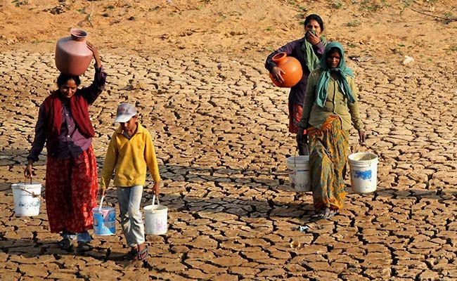 Solution To Drought Possible With The Help Of Termites