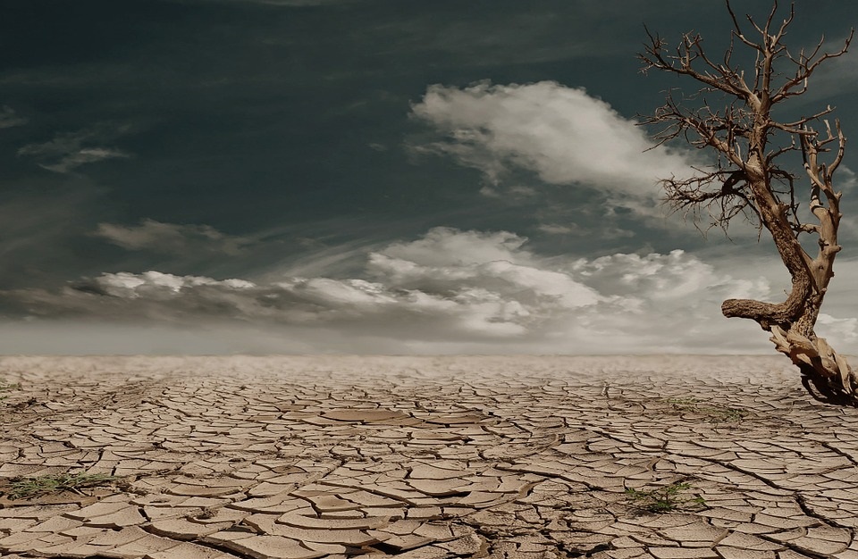 Drought and Business: More Action, Less Rhetoric