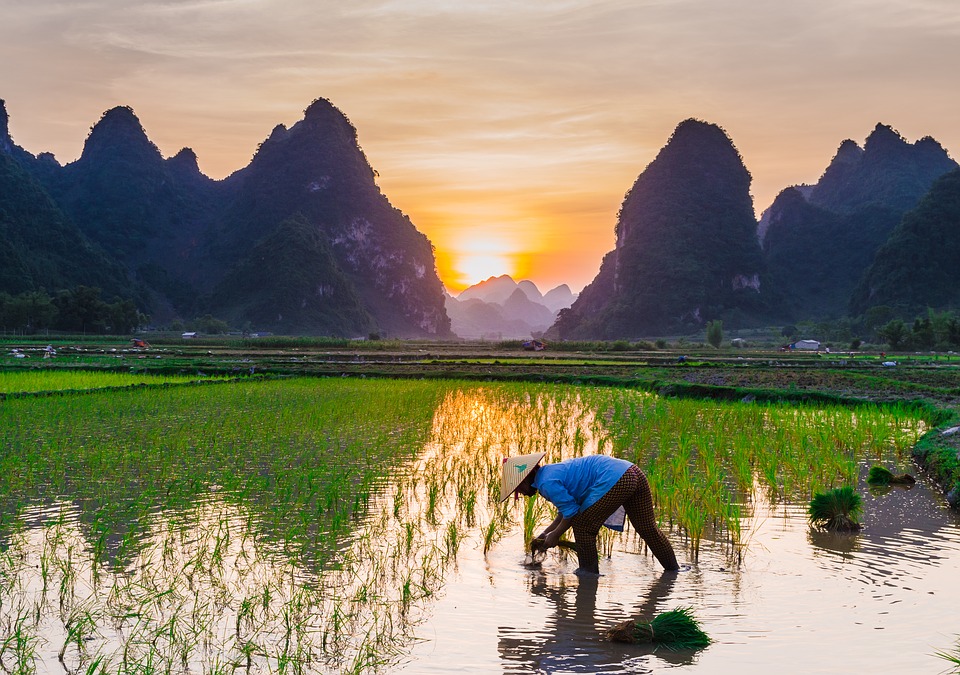 Towards a Safe, Clean and Resilient Water System in Vietnam (World Bank Report)