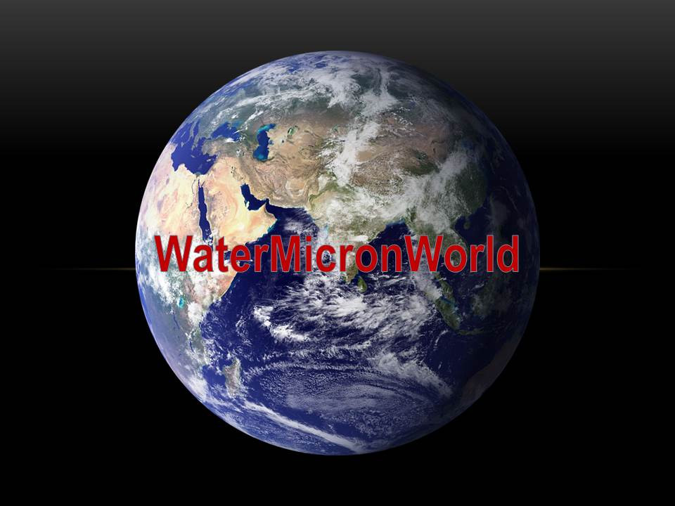 Jenny Chen, CEO at WaterMicronWorld International