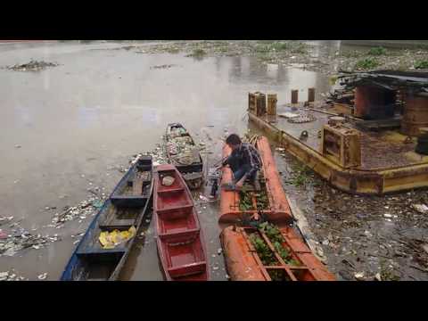 Underwater Drones Inspect Water Quality in Indonesia