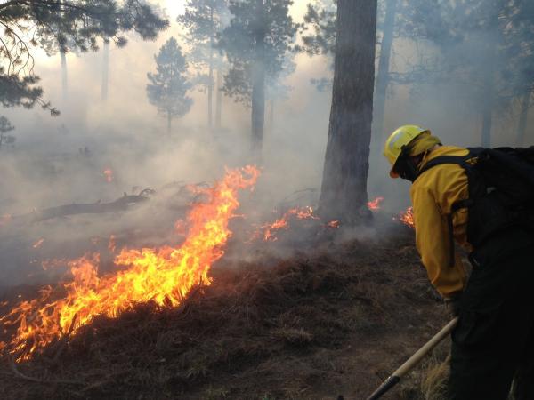 How Wildfires Contaminate Drinking Water Sources
