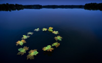 New Standards ​for Better ​Water Quality ​in Europe