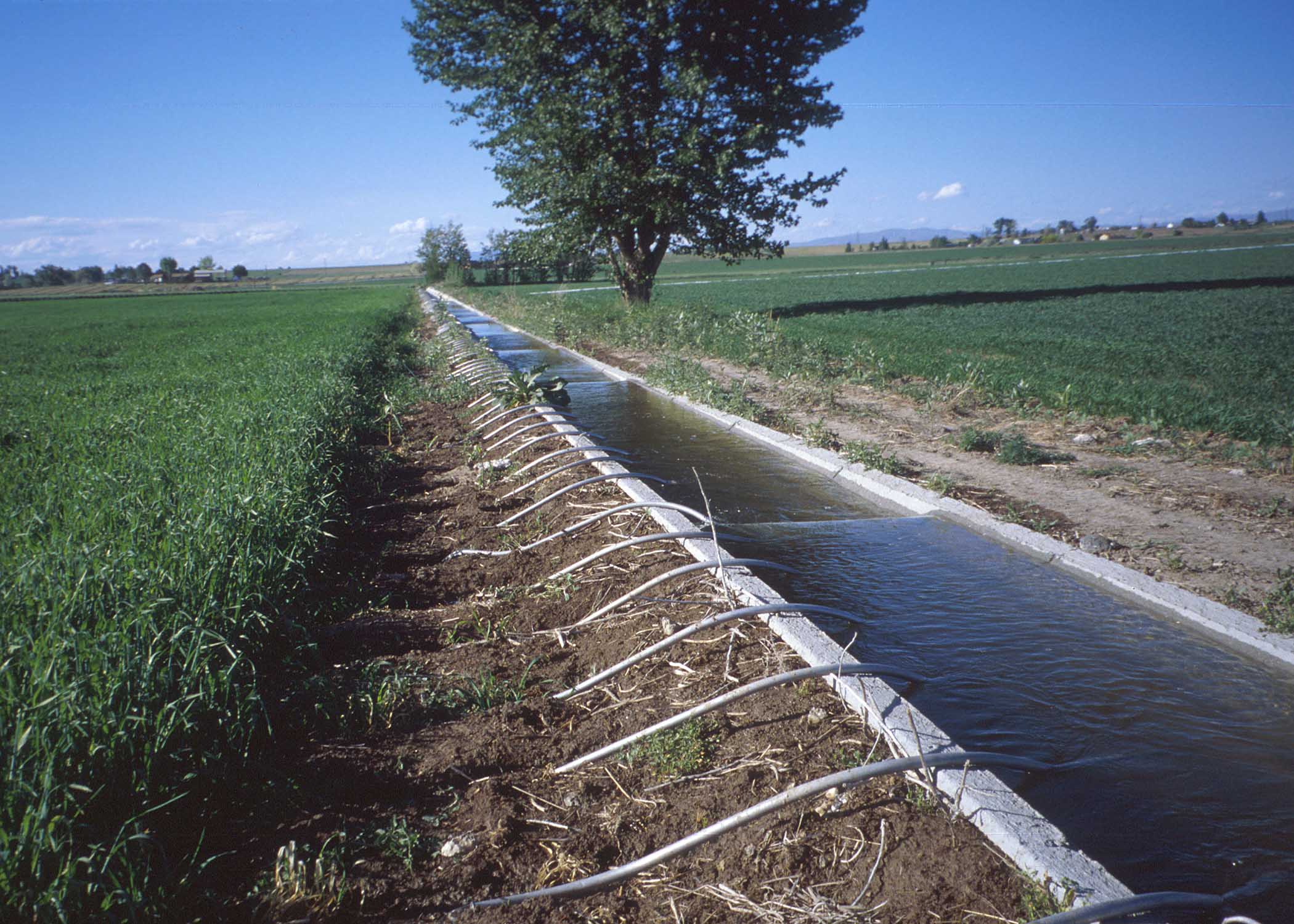 $100 Million for Water Management Project in India
