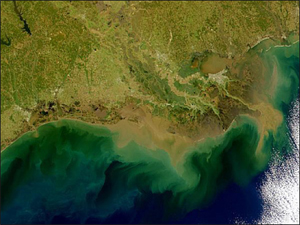 Nitrogen Pollution Boosts Plant Growth In Tropics By 20 Percent