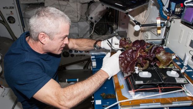 Four Ways Nasa is Teaching us to Live More Sustainably