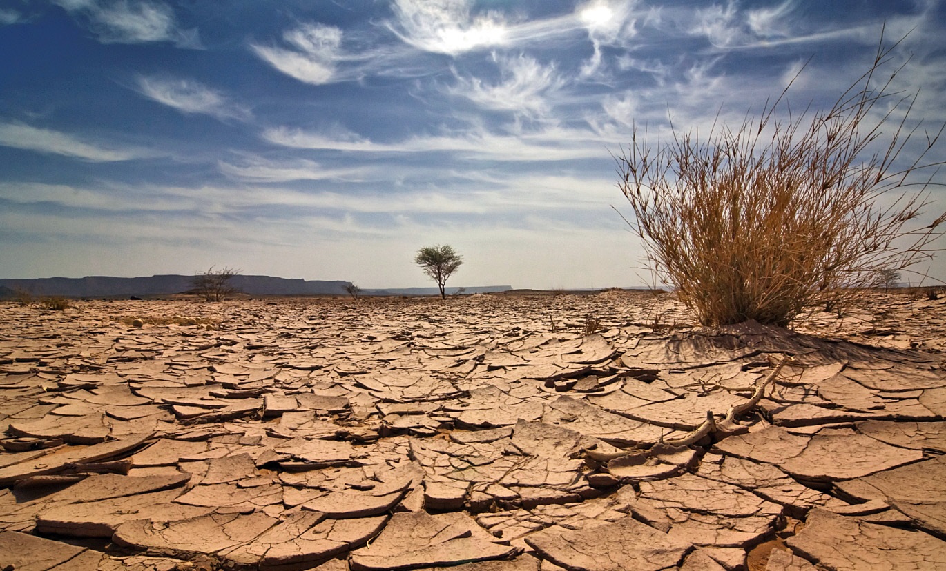 TEDx Talk: How to Solve the Global Water Crisis