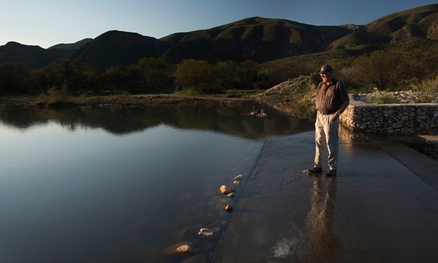 Insurance firm planting trees in SA to combat drought risk