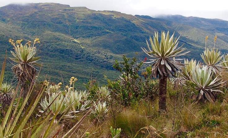 Why PepsiCo Aims to Repair Watersheds in Latin America?