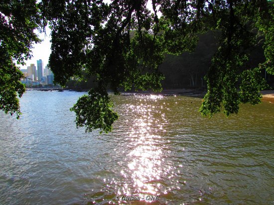 Water Company Investing in the 'Natural Infrastructure'