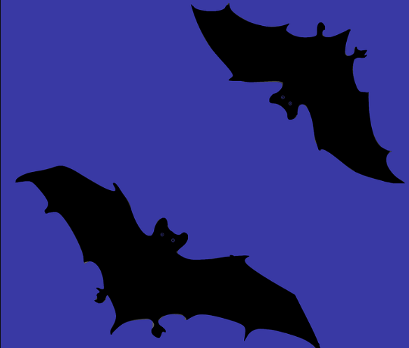 Could Bats Guide Humans to Clean Drinking Water in Places Where it’s Scarce?