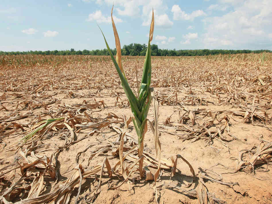 Capacity Development to Support National Drought