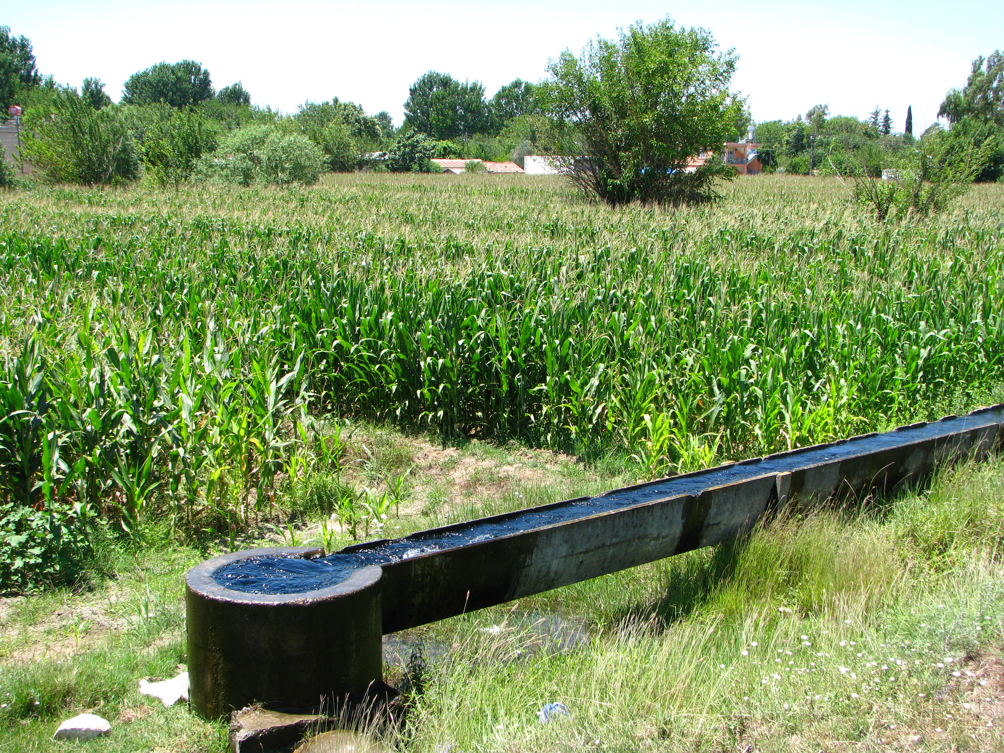 Over 40,000 Farmer Households to benefit from improved Water Management in Balochistan, Pakistan