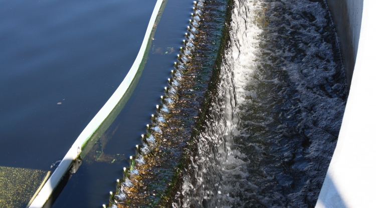 New Water Research Center in Arizona