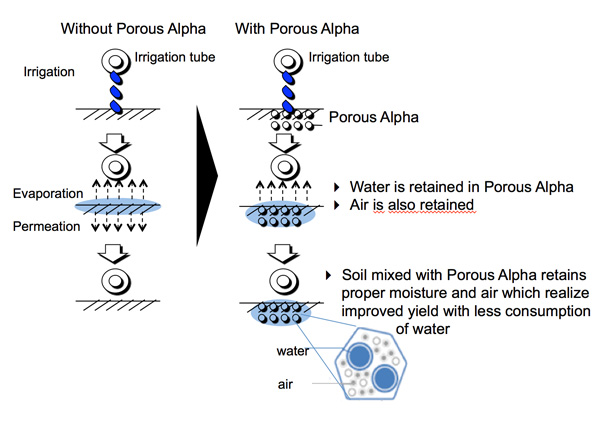 Soil Conditioning: Improving Water Retention & Aeration Capacity JAPAN