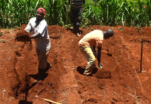Basin Terracing- Cleaning Nairobi's Drinking Water