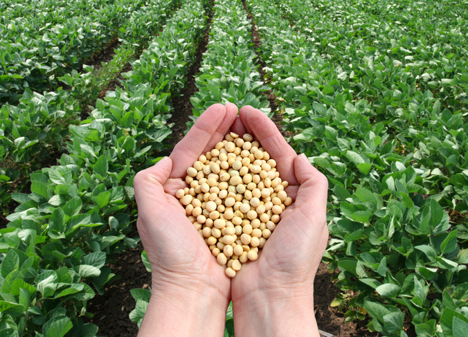Water Scarcity Raises Prices for Meat and Dairy Products