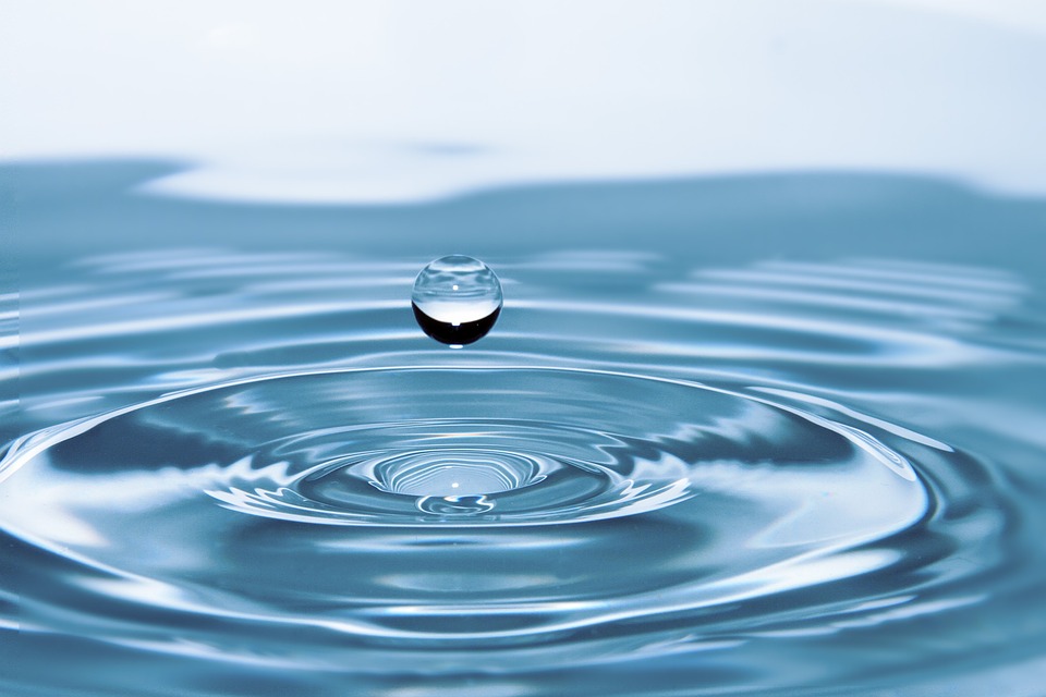 Estimating Water Usage Efficiency With Images