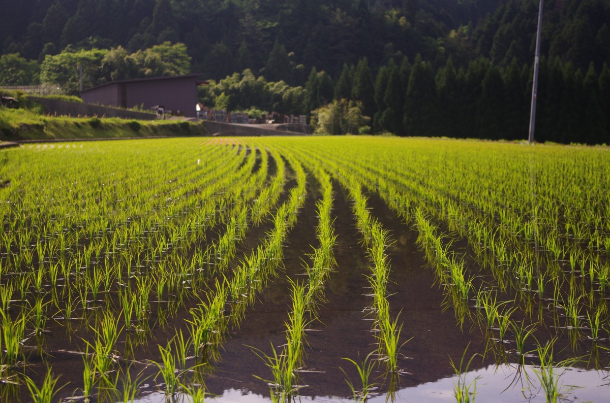 How to Address Environmental and Social Challenges in Water Management