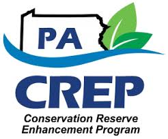 CREP Riparian Buffer - A Farmer Transforms a Stream