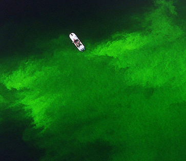 Testing an Undersea Robot That Can Detect and Map Oil Spills
