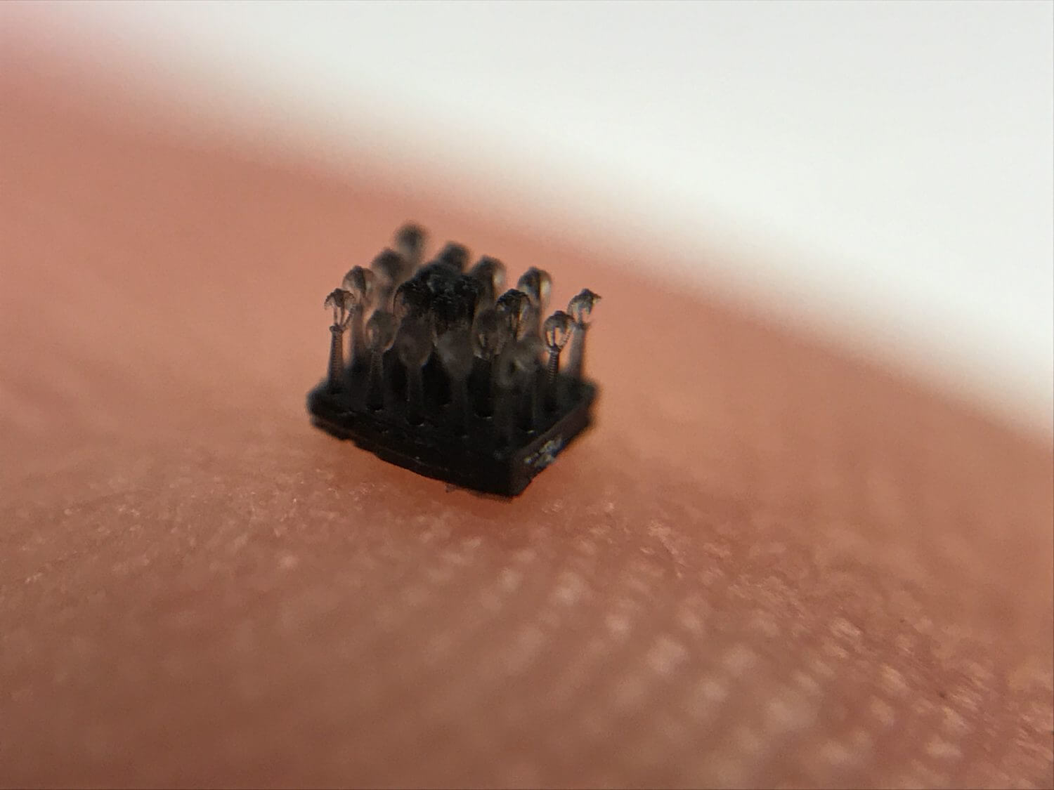What Plants Can Teach us About Oil Spill Clean-up and Microfluidics