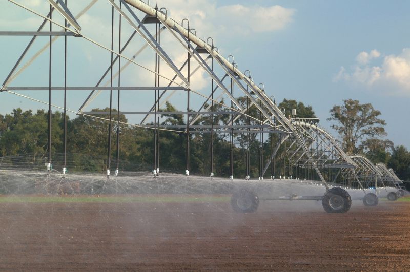 POTATO-IRRIGATION-120115.jpg
