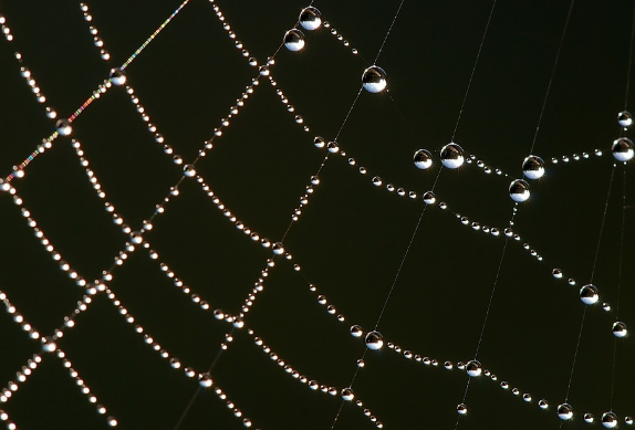 Fabric Made from Water Could Be the Ultimate Sustainable Material