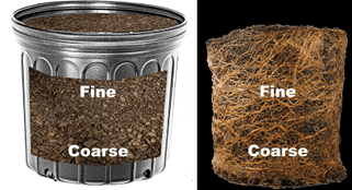 fig_2_fallow_vs_rooted_stratified_fmt.png