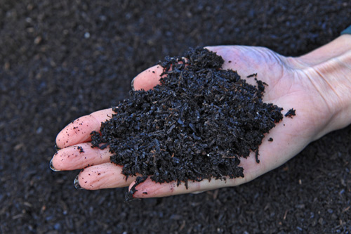 Teen Soaks up and Reuses Phosphate as Fertilizer