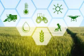 5 indoor agriculture startups selected for Golden-based incubatorScientist examining plants in greenhouseThis incubator, which launched in 2014,...