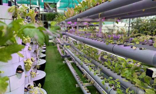 5 sustainable farming methods assessed