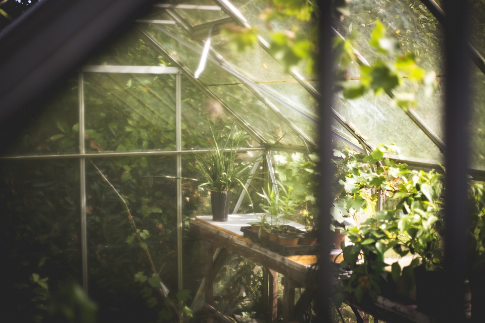 Student Develops an Integrated System to Swap Brewery Wastewater for Traditional Fertilizers
