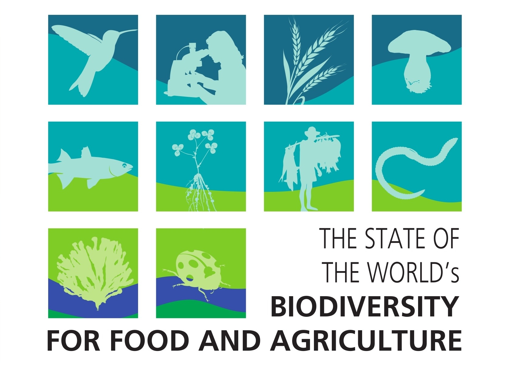 Food And Agriculture Organisation Warns That The Globe Is Losing Its Food Biodiversity (Video)