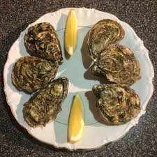 Mississippi projects aim at improving oyster reefsA test project to raise tiny baby oysters on shells to add to oyster reefs has succeeded beyon...
