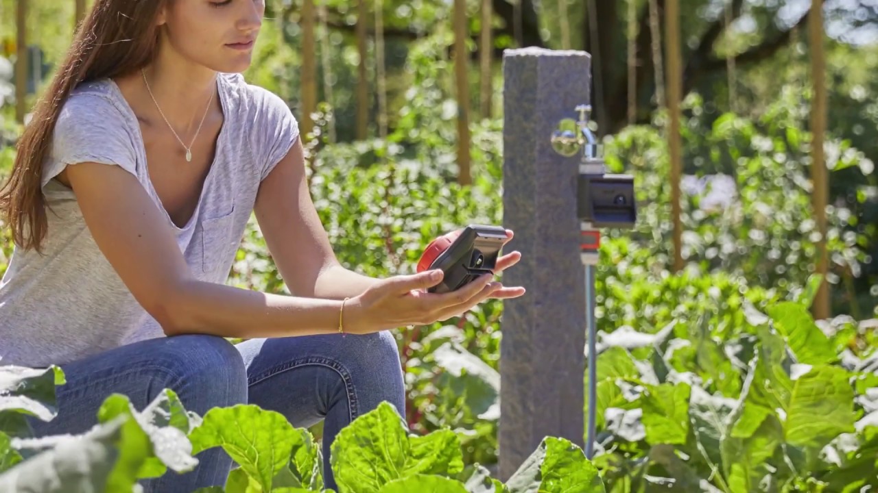 Clever Watering Tips and Tricks (Video)