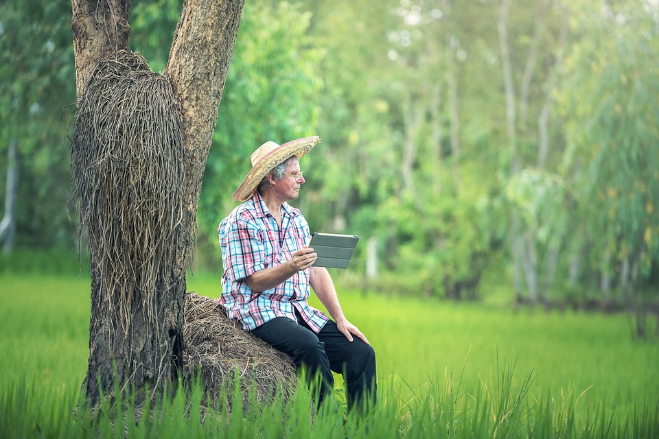 New App to Assess Agricultural Soil and Improve its Quality