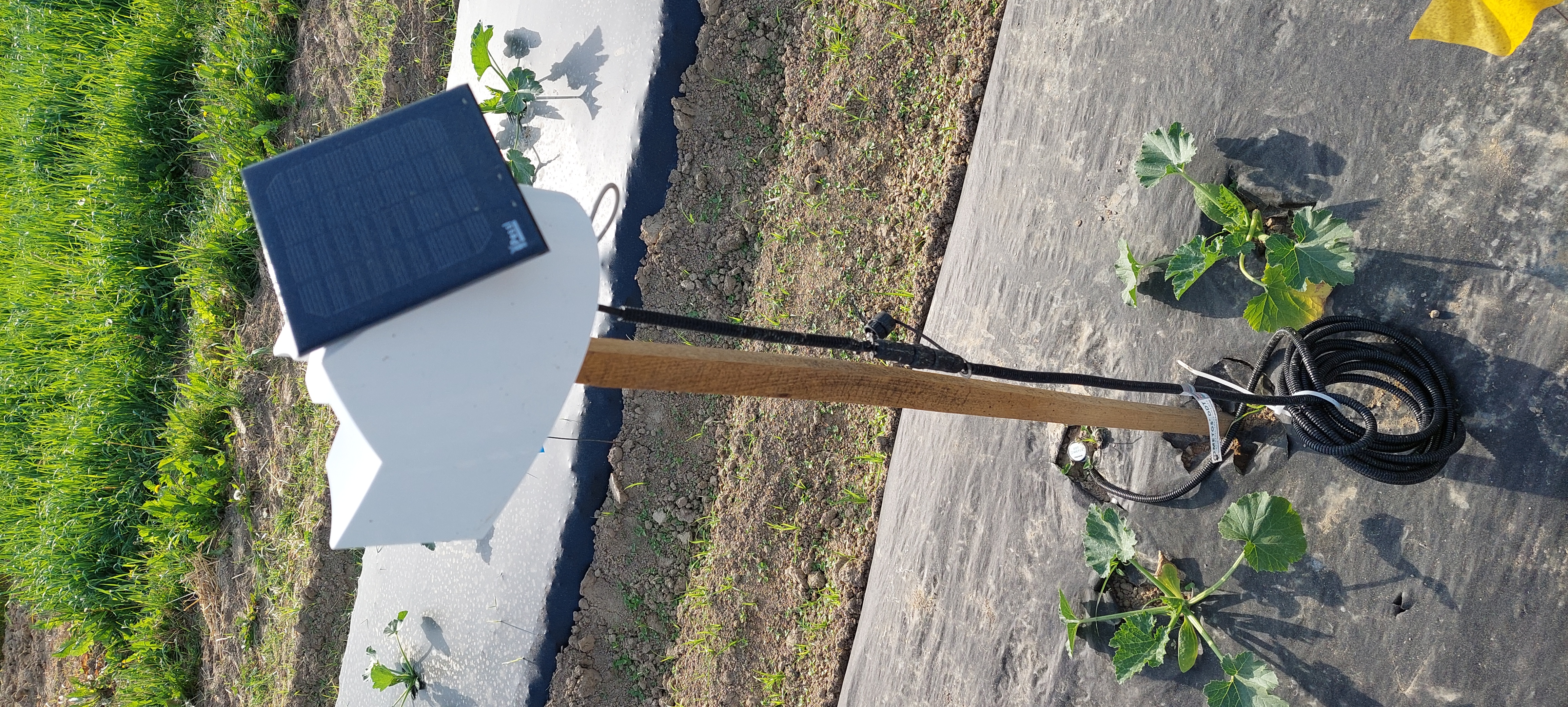 Sensors play a crucial role in modern and advanced irrigation systems by providing accurate and timely information about soil moisture, temperat...