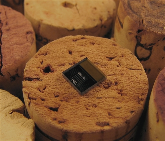 Flora Pulse Sensor for Smart Grape and Nut Irrigation