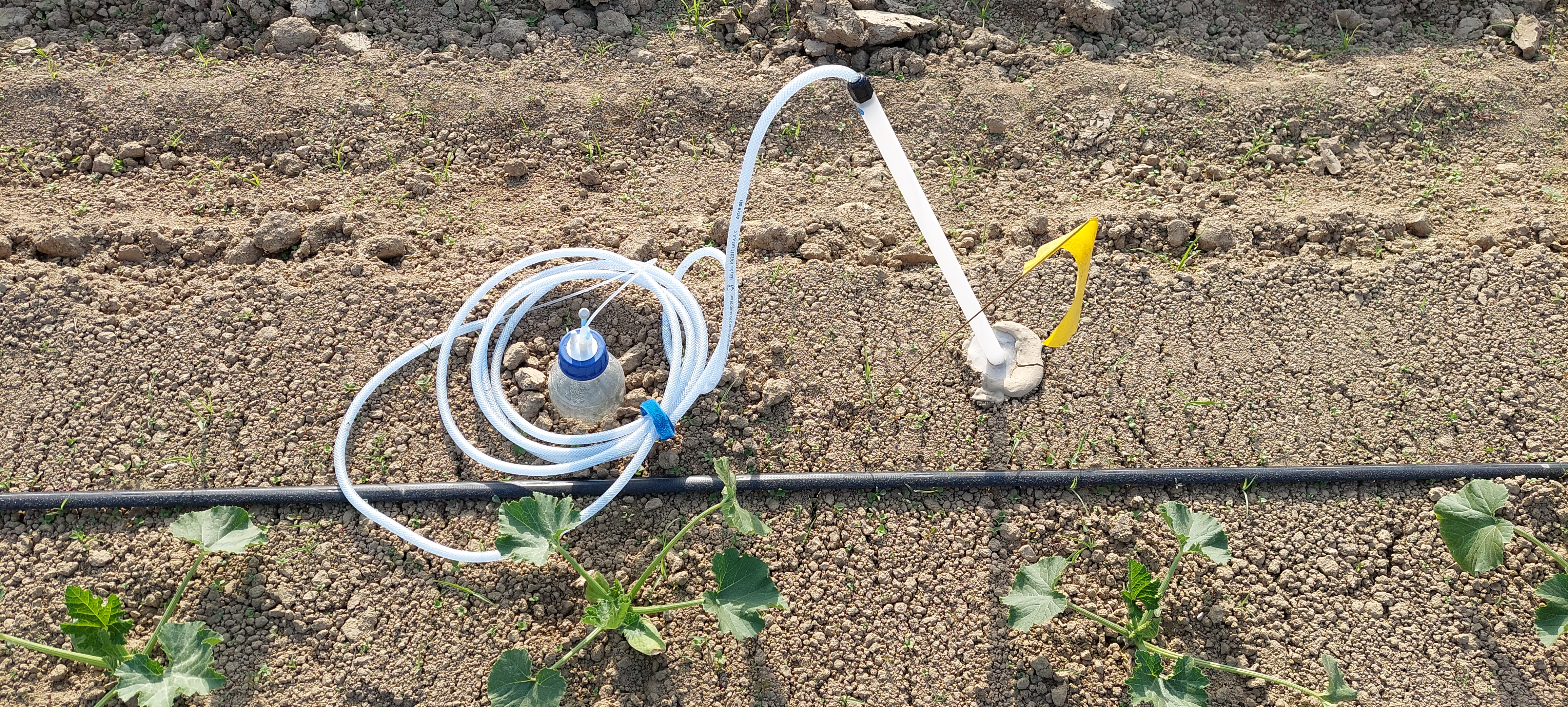 Sensors play a crucial role in modern and advanced irrigation systems by providing accurate and timely information about soil moisture, temperat...