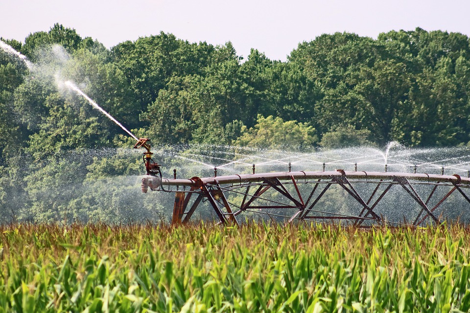 Land Management Practices to Reduce Nitrogen Load may be Affected by Future Climate Changes