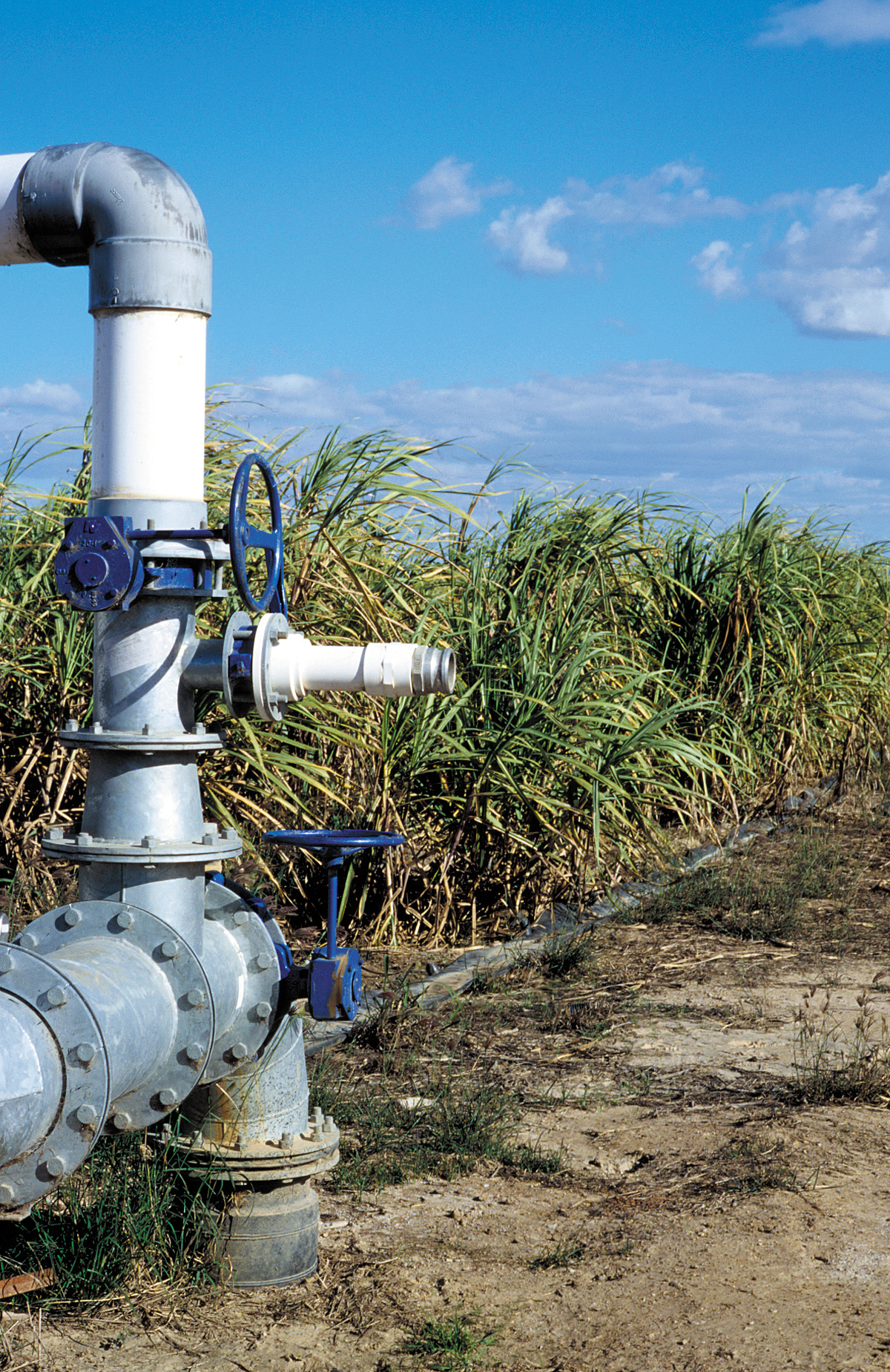 AB Sugar calls for global ideas to tackle water loss in irrigation